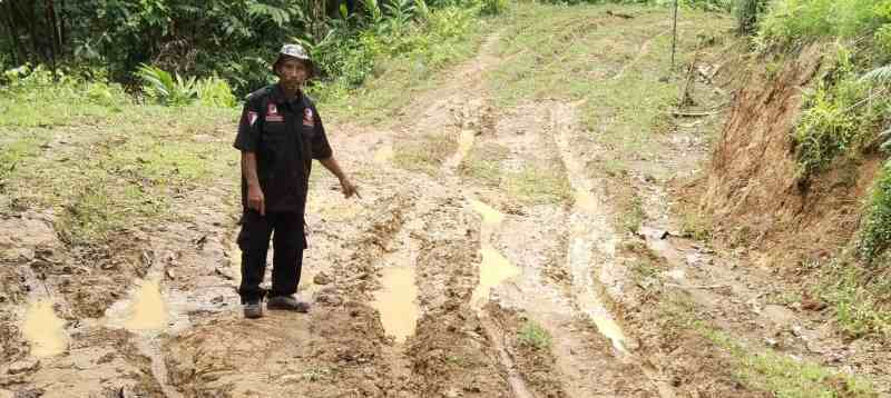 GBNN Identifikasi Dua Dusun di Polewali Mandar Terisolasi Puluhan Tahun Akibat Jalan Tidak Layak