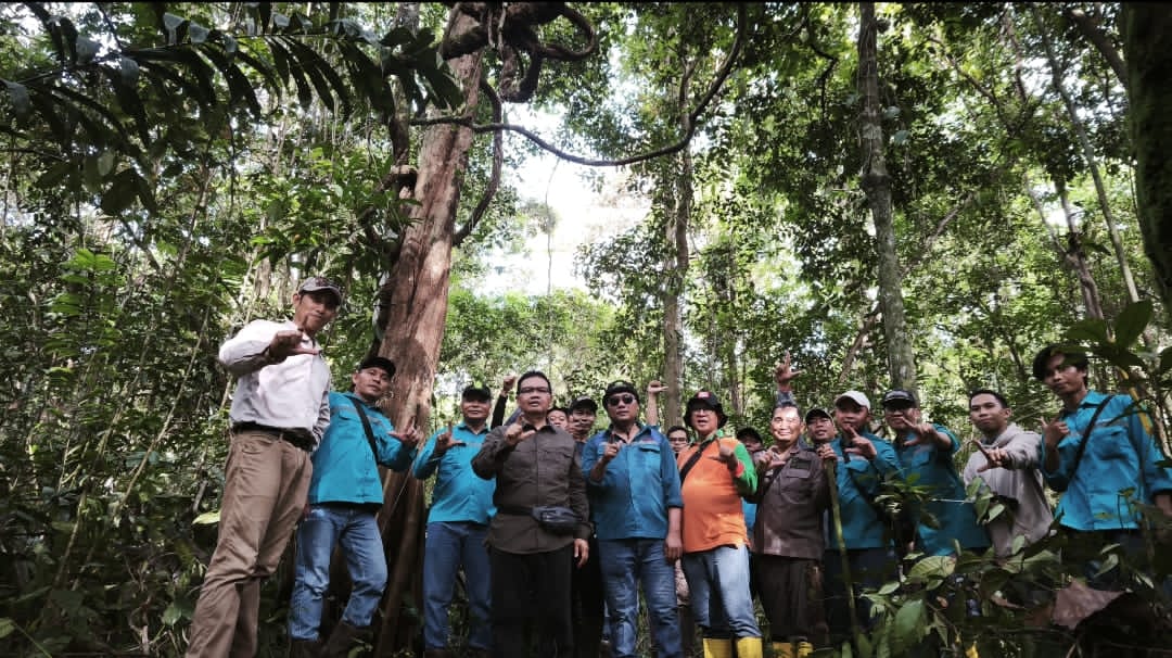 PT Hutan Rindang Banua Kembangkan Kawasan Konservasi Hayati di Teluk Kepayang