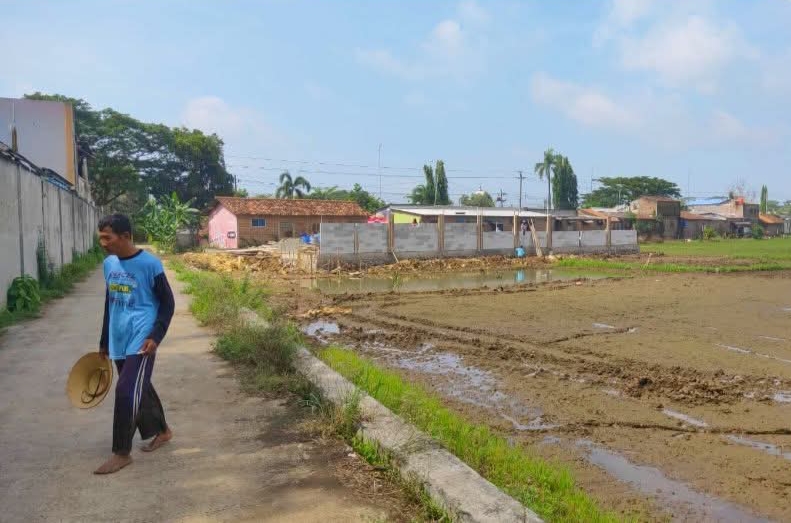 Proyek KDMP di Sarirejo Picu Sawah Terendam, Petani Rugi Puluhan Juta
